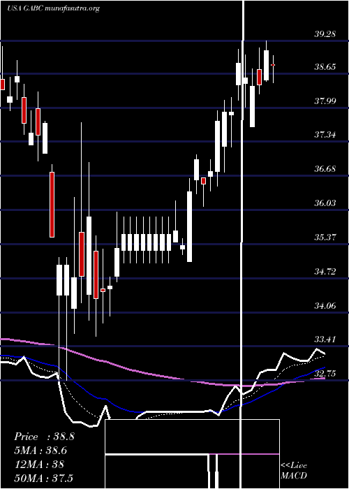  Daily chart GermanAmerican