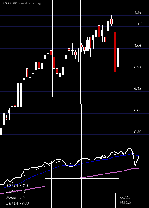 Daily chart GamcoNatural