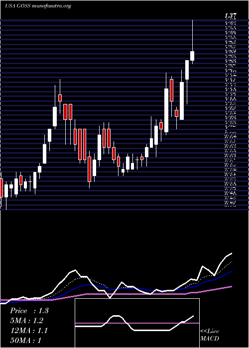  Daily chart GossamerBio