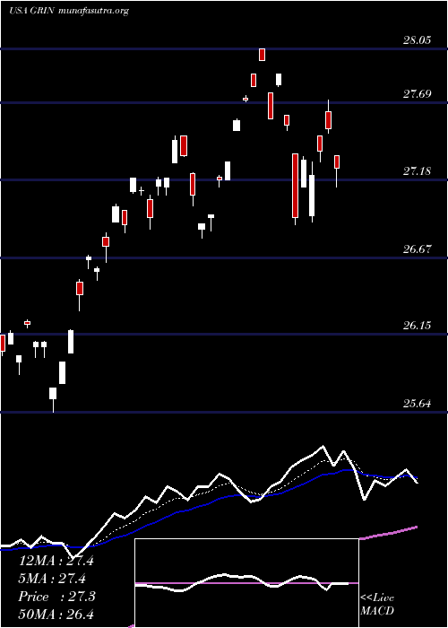  Daily chart GrindrodShipping