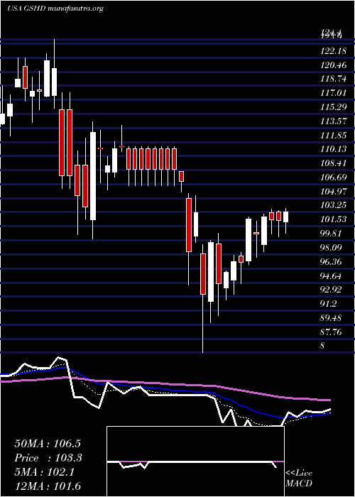 Daily chart GooseheadInsurance