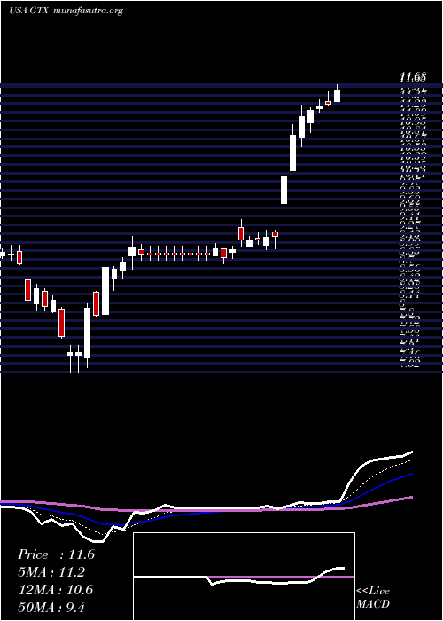  Daily chart GarrettMotion