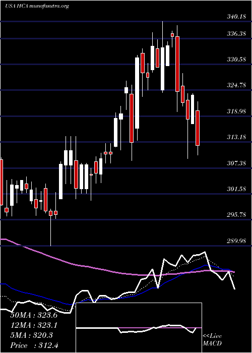  Daily chart HcaHealthcare