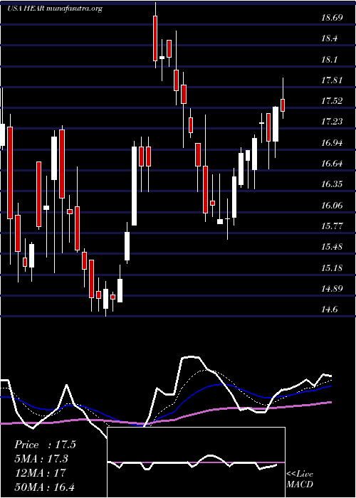  Daily chart TurtleBeach