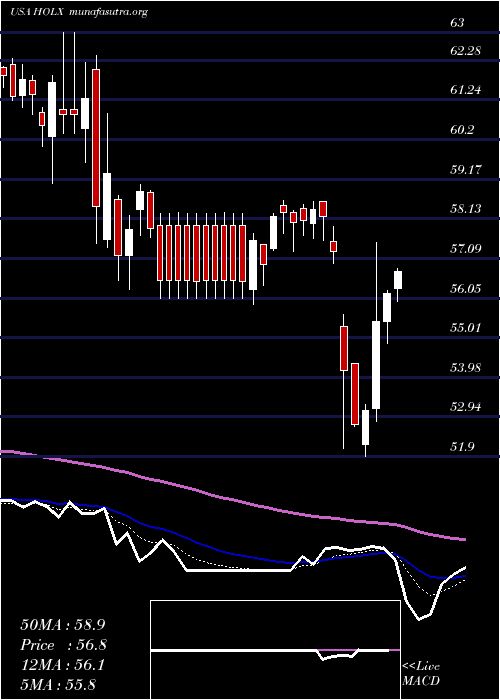  Daily chart HologicInc