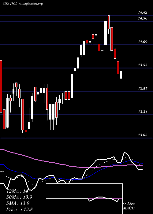  Daily chart TeklaLife