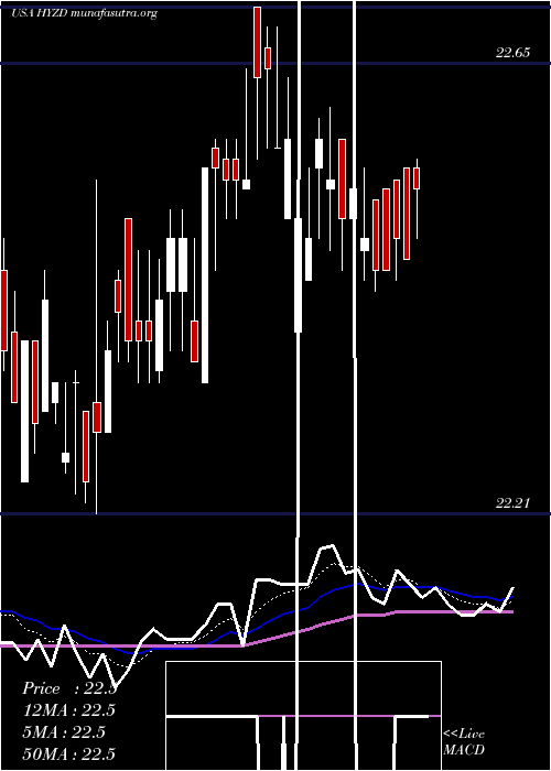  Daily chart WisdomtreeInterest