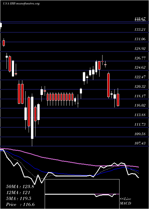  Daily chart IsharesNasdaq