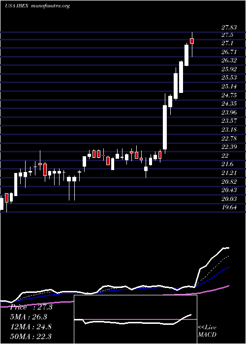  Daily chart IbexHoldings