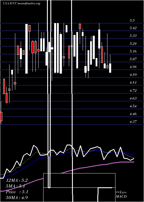  Daily chart ImmucellCorporation