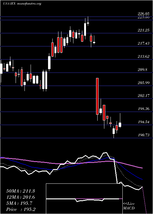  Daily chart IdexCorporation