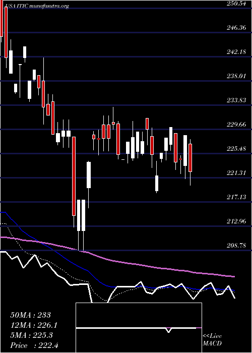  Daily chart InvestorsTitle