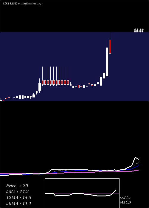  Daily chart LiveVentures