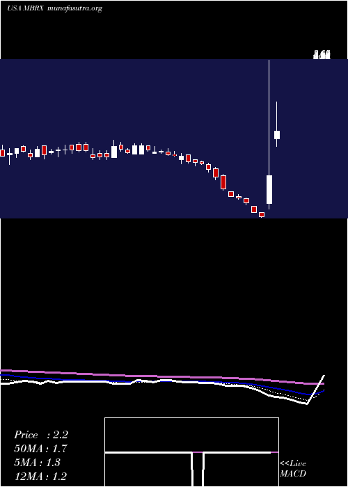  Daily chart MoleculinBiotech