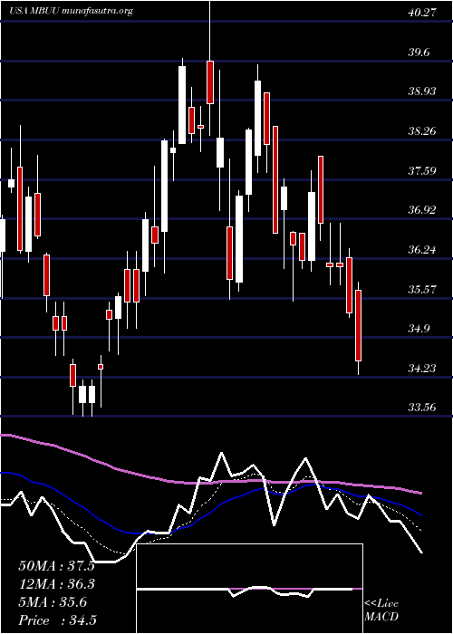  Daily chart MalibuBoats