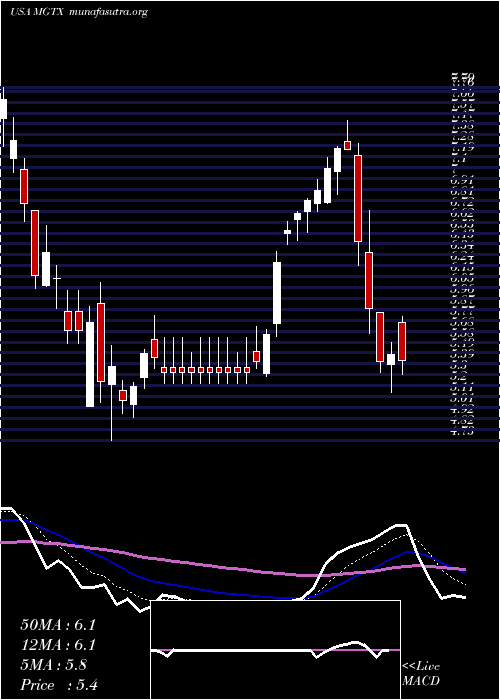  Daily chart MeiragtxHoldings