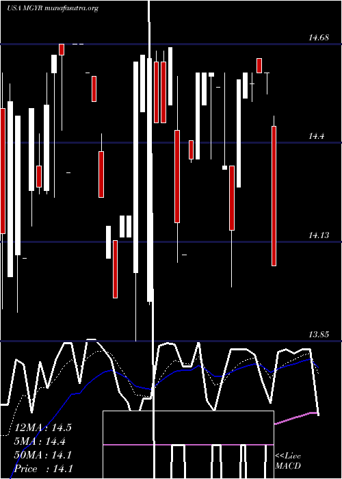  Daily chart MagyarBancorp