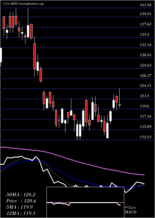  Daily chart MI