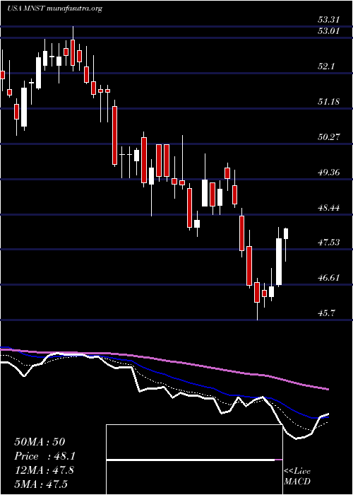  Daily chart MonsterBeverage