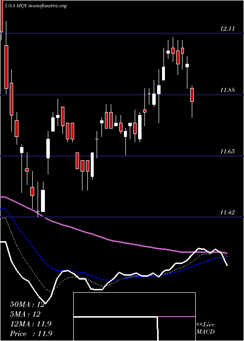  Daily chart BlackrockMuniyield