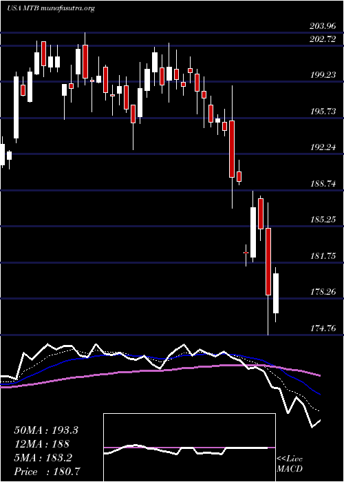 Daily chart MT