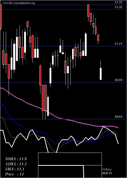  Daily chart BlackrockMuniassets