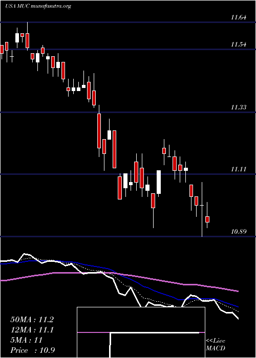  Daily chart BlackrockMuniholdings