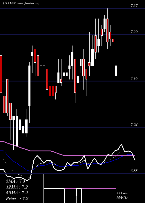  Daily chart MunivestFund