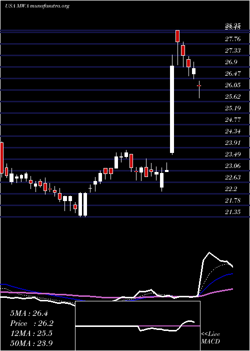  Daily chart MuellerWater