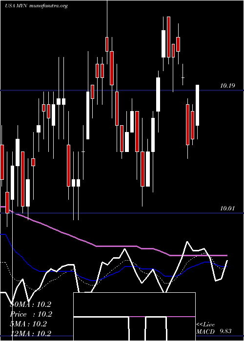  Daily chart BlackrockMuniyield