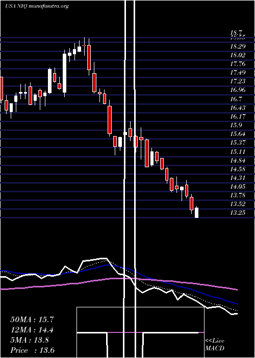  Daily chart NuveennIntermediate