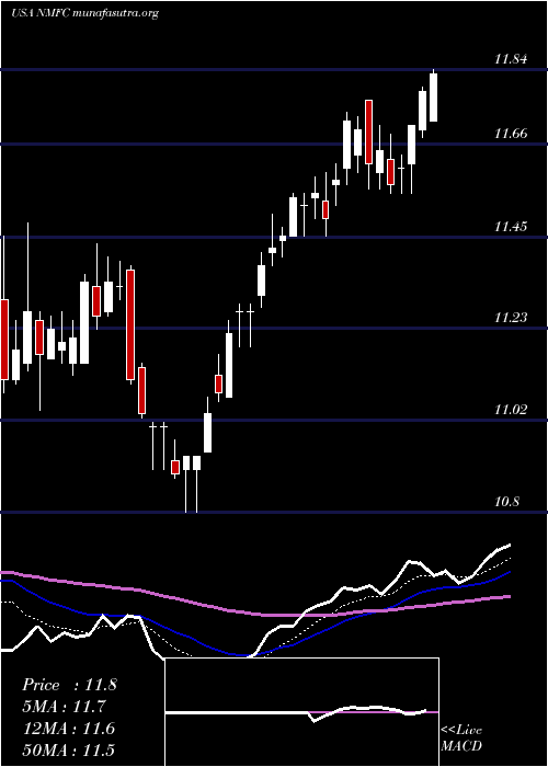  Daily chart NewMountain