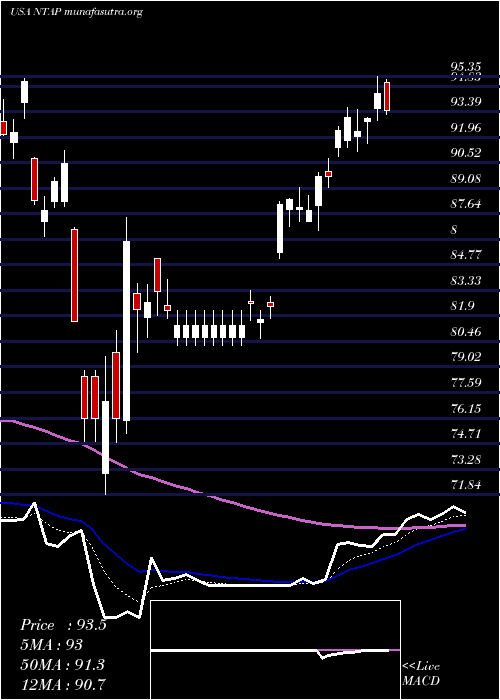  Daily chart NetappInc
