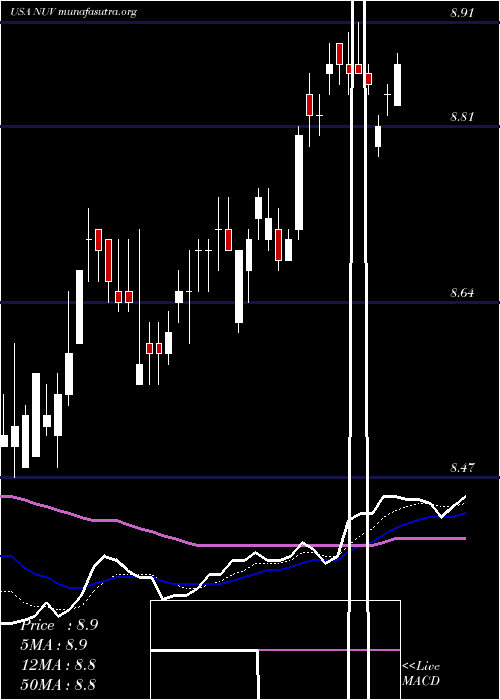  Daily chart NuveenAmt