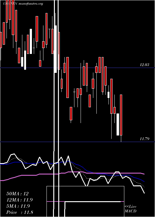  Daily chart NuveenInsured