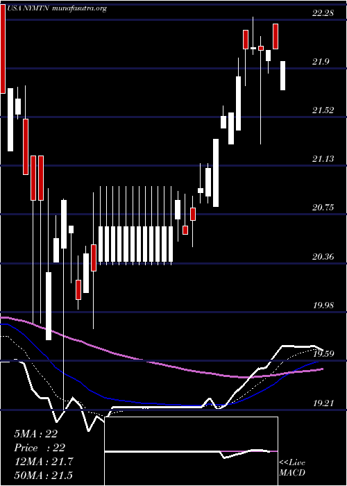  Daily chart NewYork