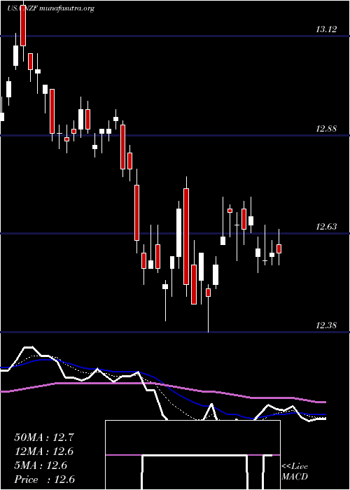  Daily chart NuveenMunicipal