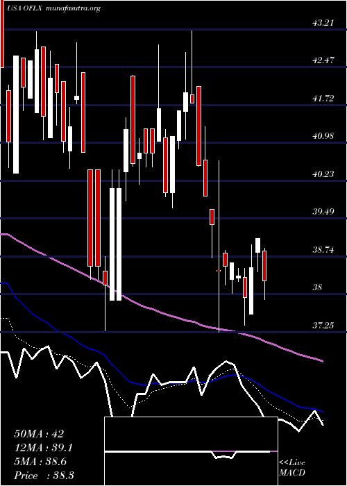  Daily chart OmegaFlex