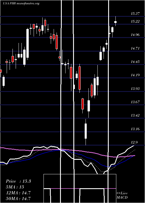  Daily chart PetroleoBrasileiro