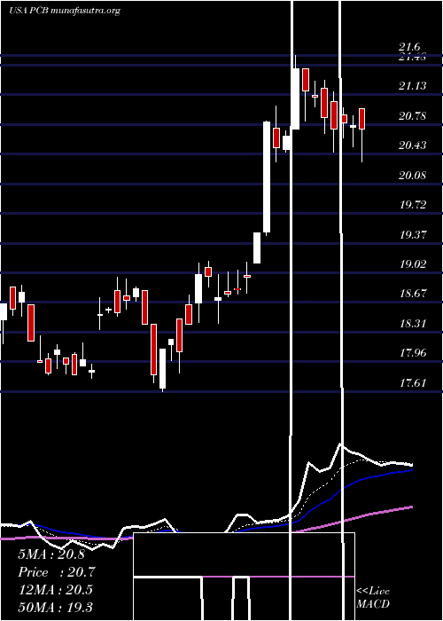  Daily chart PacificCity