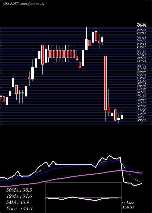  Daily chart ProDex