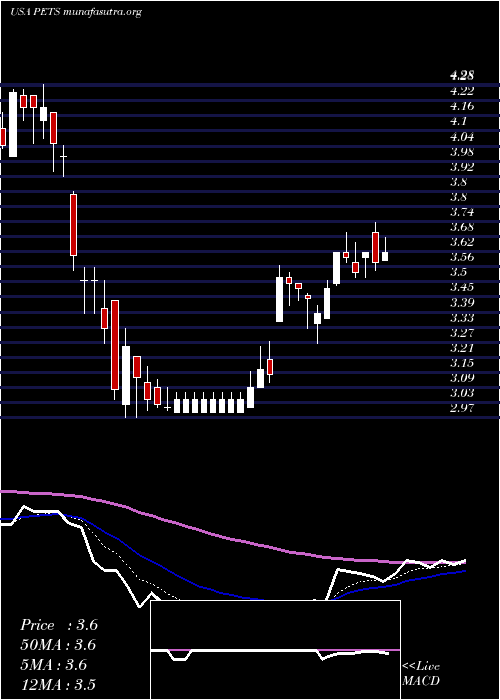  Daily chart PetmedExpress