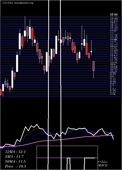  Daily chart PiedmontLithium