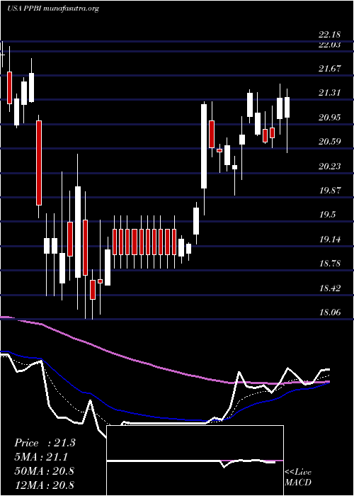  Daily chart PacificPremier