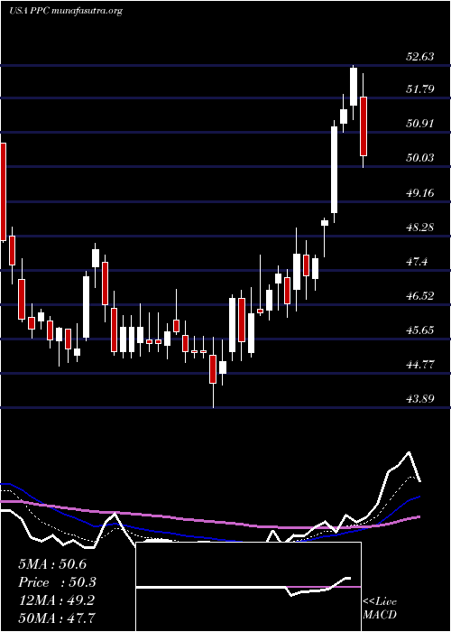  Daily chart PilgrimS