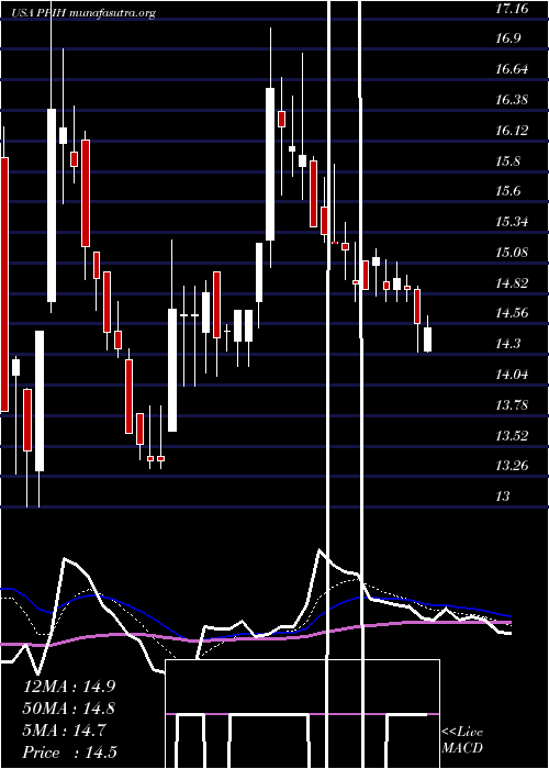  Daily chart PermaPipe