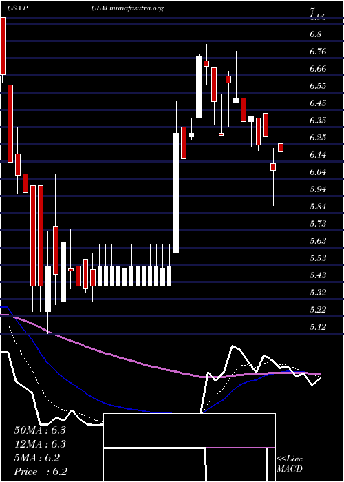  Daily chart PulmatrixInc