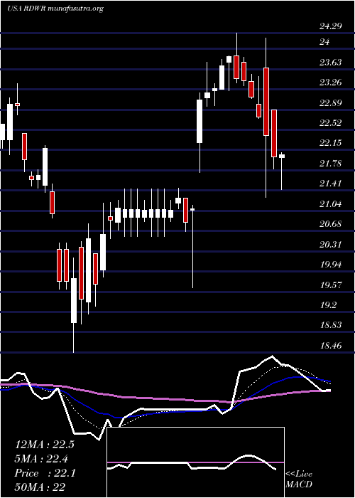  Daily chart Radware