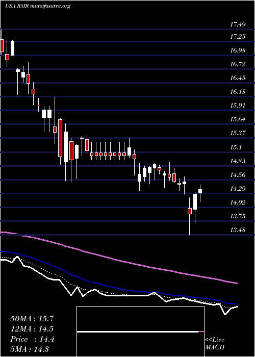  Daily chart RmrGroup