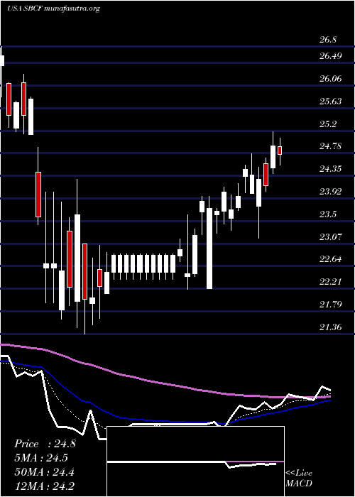  Daily chart SeacoastBanking